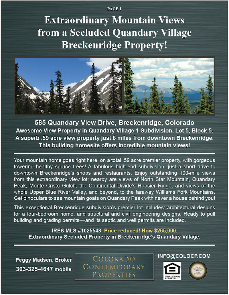 Click to view 585 County Road 805, Breckridge 2-Page Brochure